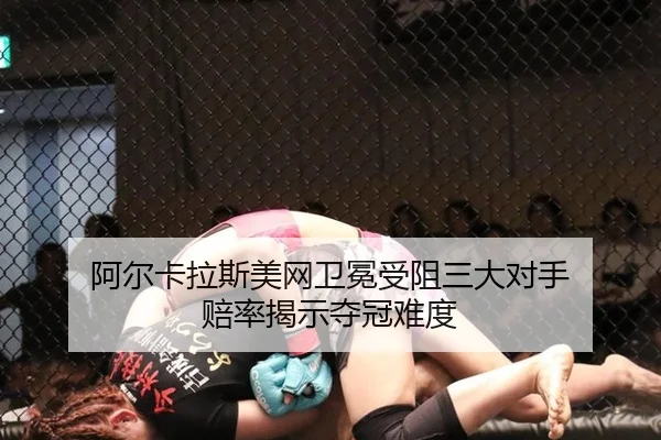 a-er-ka-la-si-mei-wang-wei-mian-shou-zu-san-da-dui-shou-pei-lv-jie-shi-duo-guan-nan-du-2-350.jpg