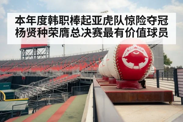 本年度韩职棒起亚虎队惊险夺冠 杨贤种荣膺总决赛最有价值球员