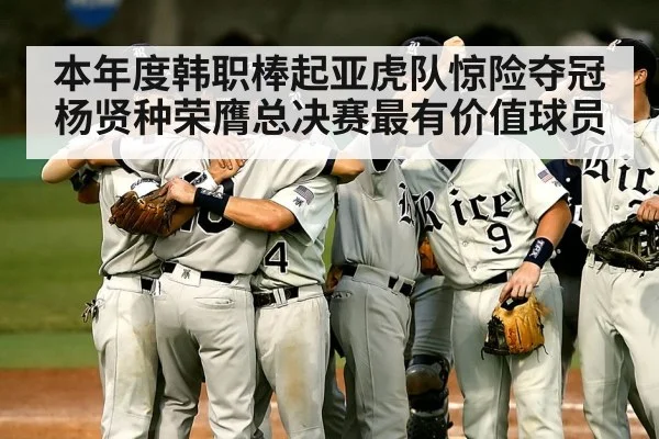 baseball team celebration